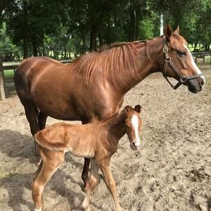 Meet your Posher, Janice